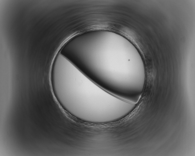 X0000098001050200803241038