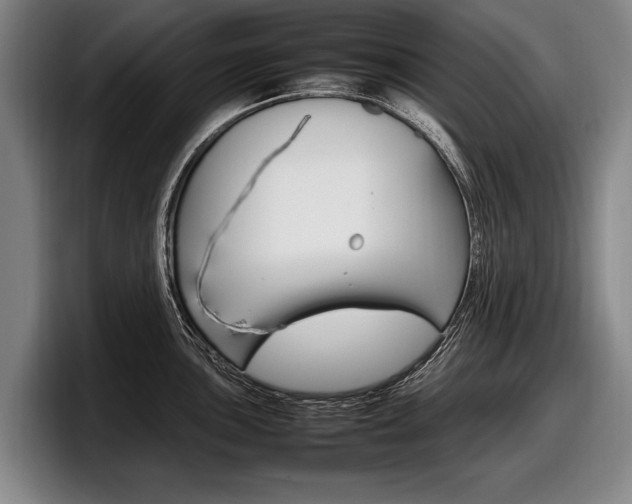 X0000098001051200803241038