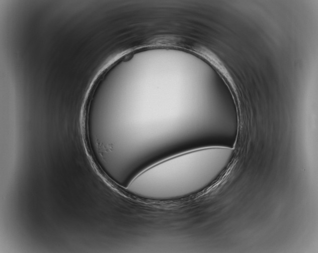 X0000098001053200803241038