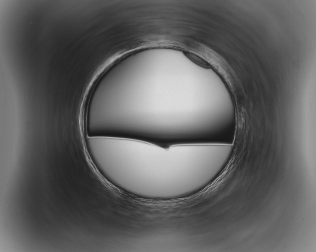 X0000098001054200803241038