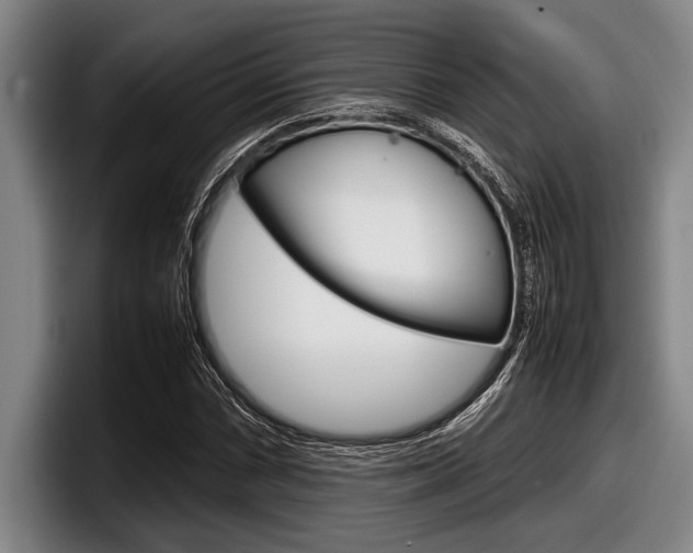 X0000098001066200803241037