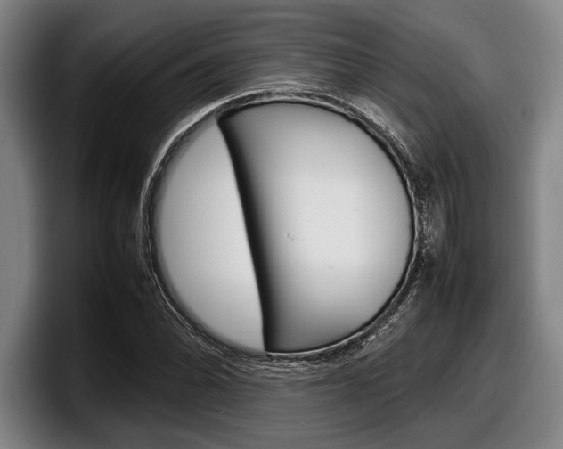 X0000098001070200803241037