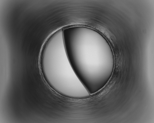X0000098001072200803241037