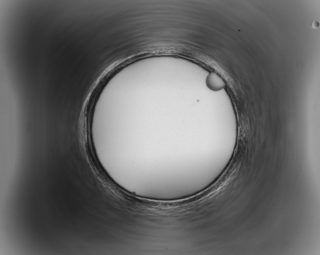 X0000098001075200803241037
