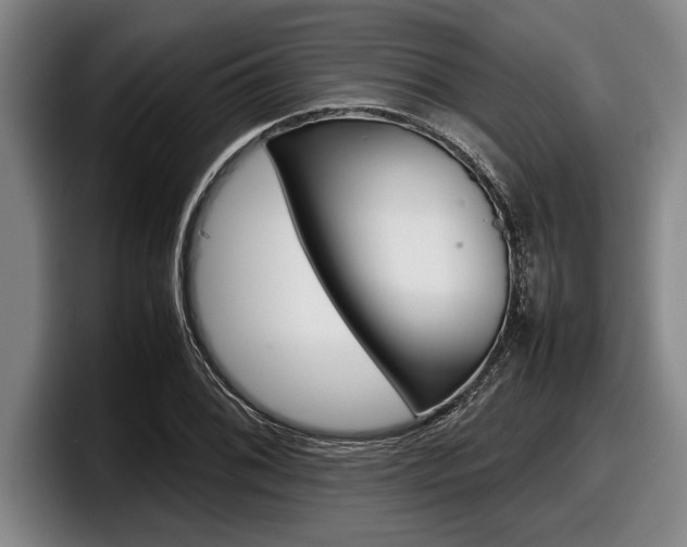 X0000098001076200803241037