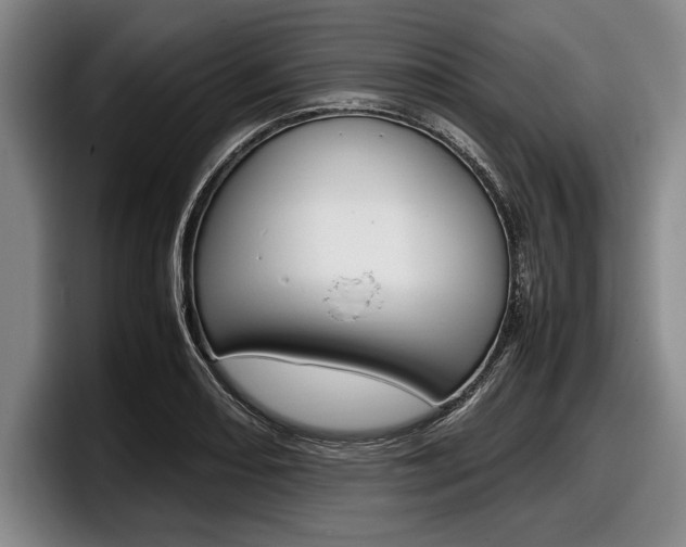 X0000098001082200803241037