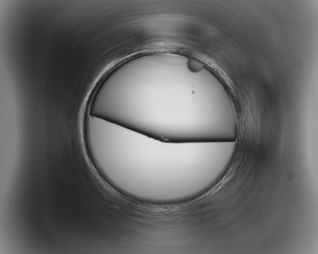 X0000098001083200803241037