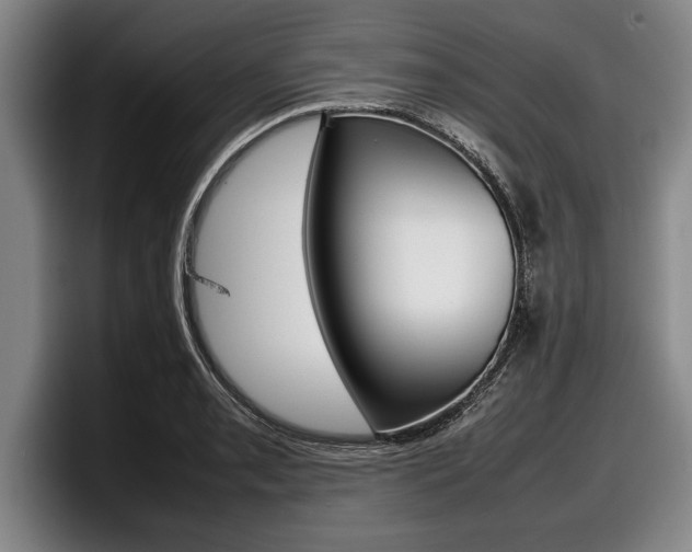 X0000098001085200803241037