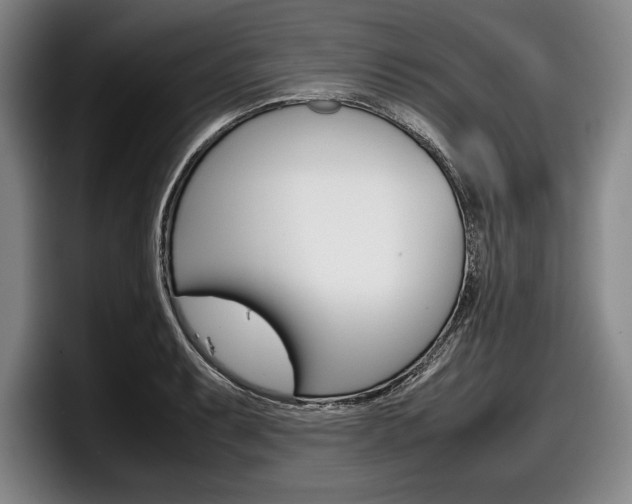 X0000098001087200803241037