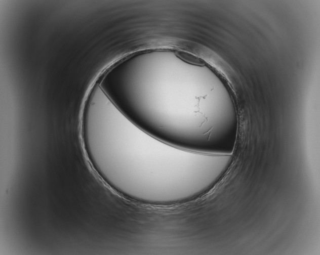 X0000098001088200803241037