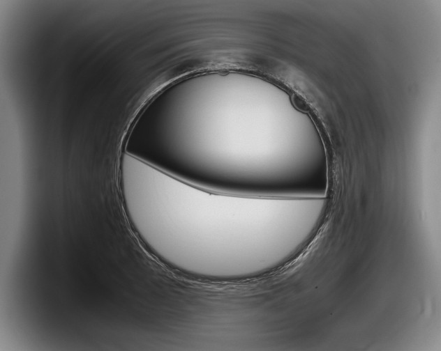 X0000098001089200803241037