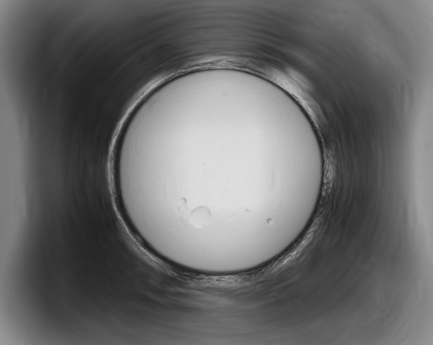 X0000098001090200803241037
