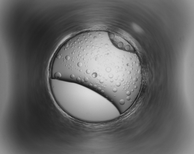 X0000098001095200803241037