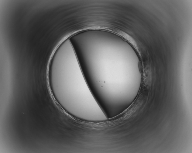 X0000098001096200803241037