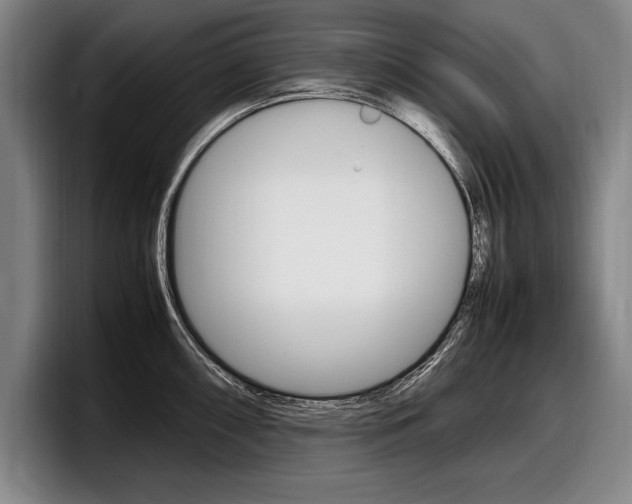 X0000098001098200803241036