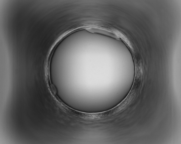X0000098001101200803241036