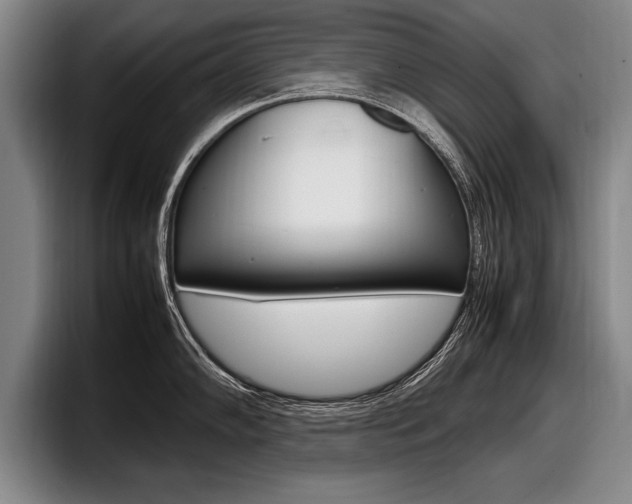 X0000098001102200803241036