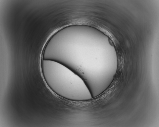 X0000098001103200803241036