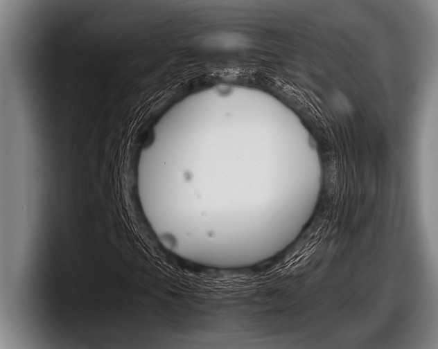X0000098001105200803241036