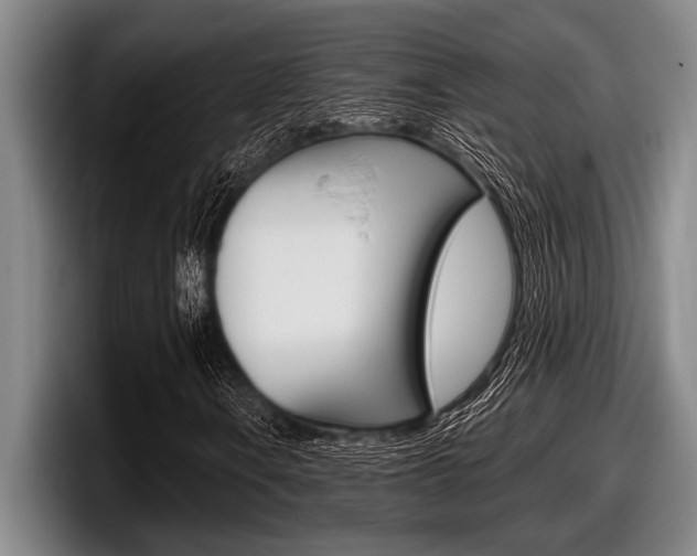 X0000098001106200803241036