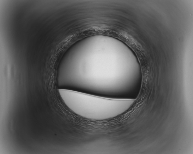 X0000098001110200803241036