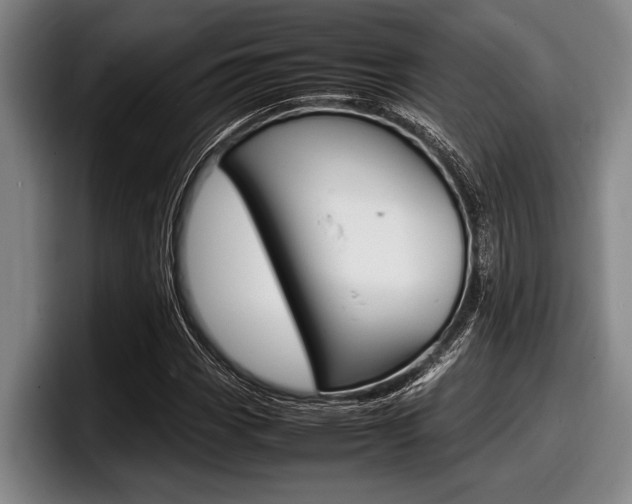 X0000098001113200803241036