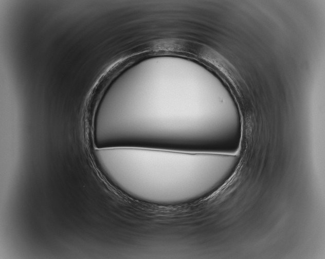 X0000098001115200803241036