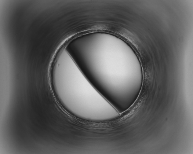 X0000098001119200803241036