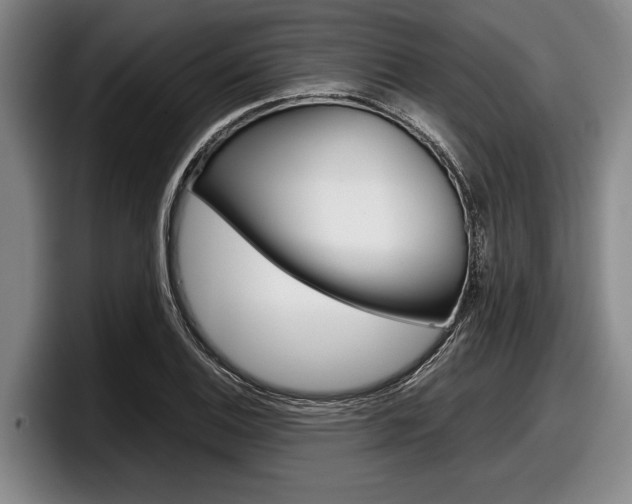 X0000098001124200803241036