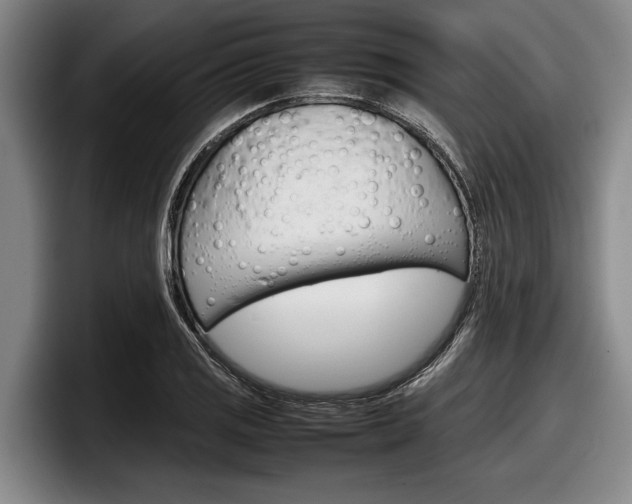 X0000098001125200803241036