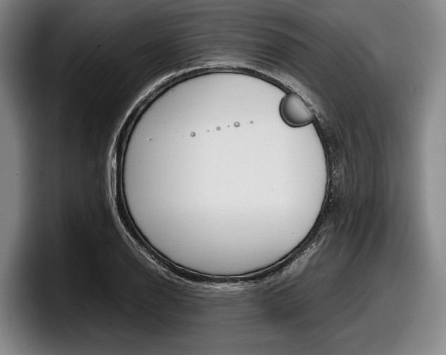 X0000098001126200803241036