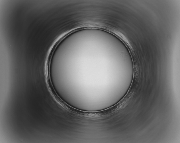 X0000098001128200803241036