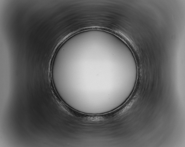 X0000098001129200803241036