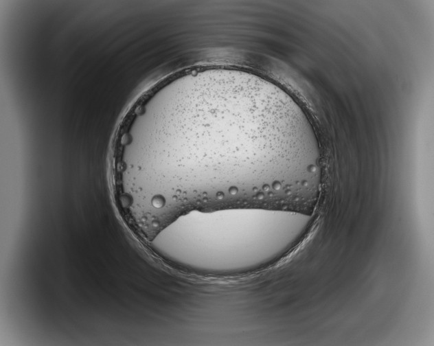 X0000098001130200803241036
