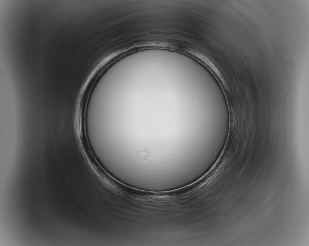 X0000098001131200803241036