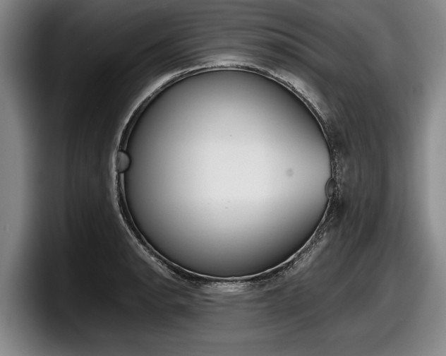 X0000098001134200803241036