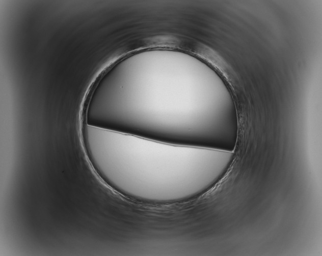 X0000098001135200803241036