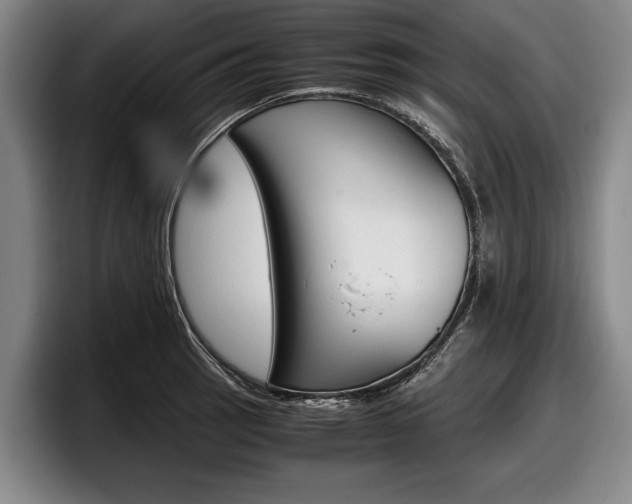 X0000098001137200803241036