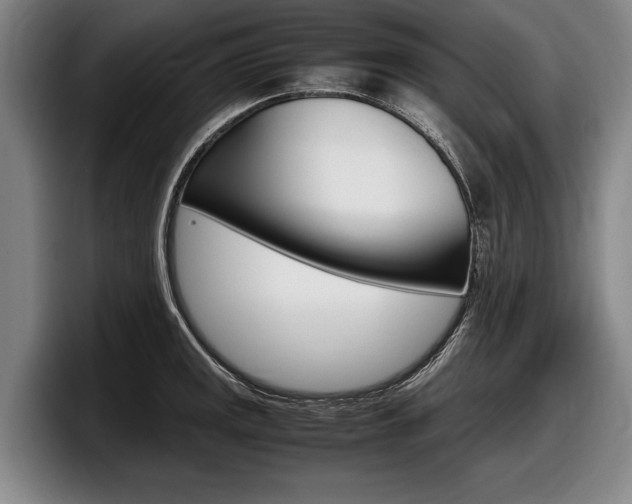 X0000098001141200803241036