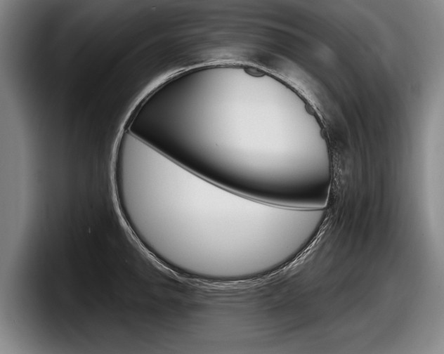 X0000098001142200803241036