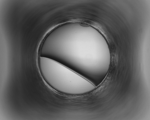 X0000098001143200803241036