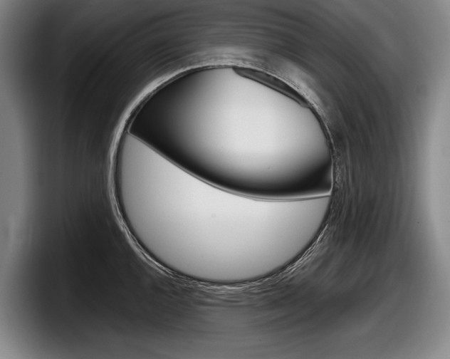 X0000098001144200803241036