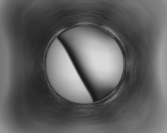 X0000098001145200803241036