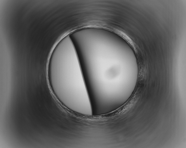X0000098001146200803241036