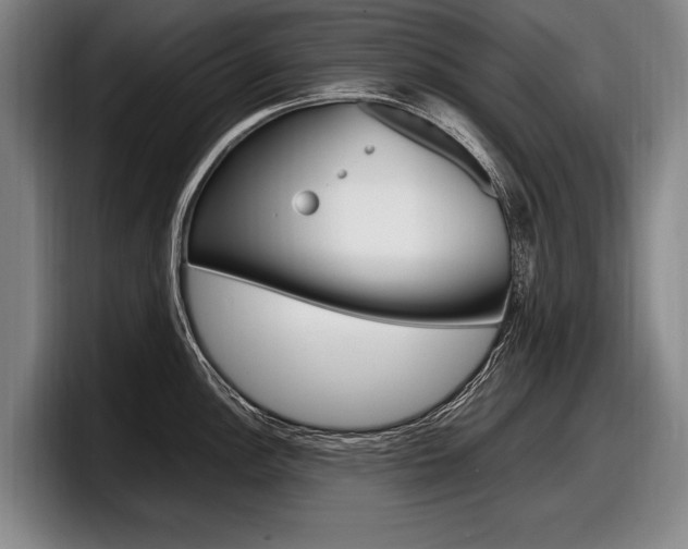 X0000098001148200803241036