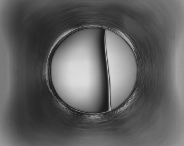 X0000098001149200803241036