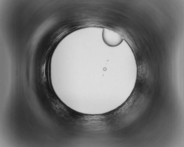 X0000098001150200803241036