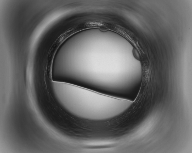 X0000098001151200803241036