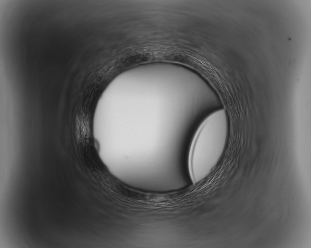 X0000098001155200803241036