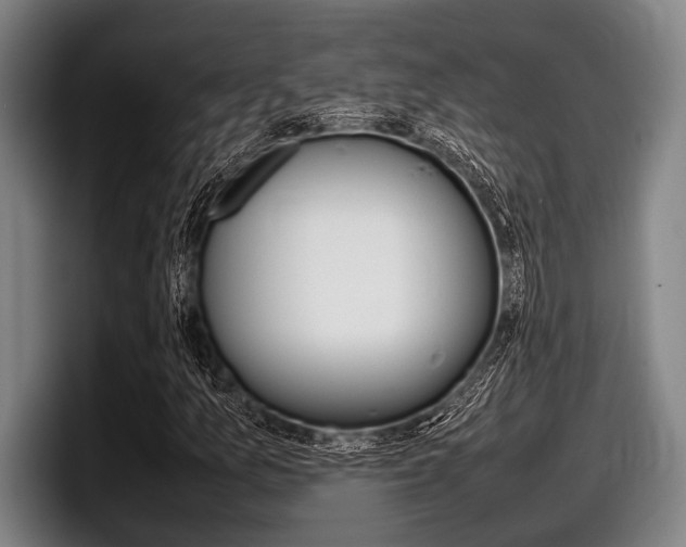 X0000098001157200803241036